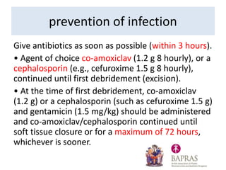 prevention of infection
Give antibiotics as soon as possible (within 3 hours).
• Agent of choice co-amoxiclav (1.2 g 8 hourly), or a
cephalosporin (e.g., cefuroxime 1.5 g 8 hourly),
continued until first debridement (excision).
• At the time of first debridement, co-amoxiclav
(1.2 g) or a cephalosporin (such as cefuroxime 1.5 g)
and gentamicin (1.5 mg/kg) should be administered
and co-amoxiclav/cephalosporin continued until
soft tissue closure or for a maximum of 72 hours,
whichever is sooner.
 