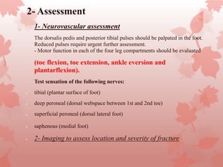 2- Assessment
 1- Neurovascular assessment
- The dorsalis pedis and posterior tibial pulses should be palpated in the foot.
Reduced pulses require urgent further assessment.
- Motor function in each of the four leg compartments should be evaluated
- (toe flexion, toe extension, ankle eversion and
plantarflexion).
- Test sensation of the following nerves:
 tibial (plantar surface of foot)
 deep peroneal (dorsal webspace between 1st and 2nd toe)
 superficial peroneal (dorsal lateral foot)
 saphenous (medial foot)
 2- Imaging to assess location and severity of fracture
 