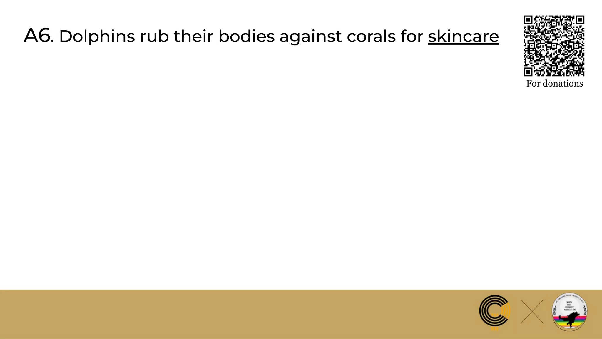 A6. Dolphins rub their bodies against corals for skincare
For donations
 