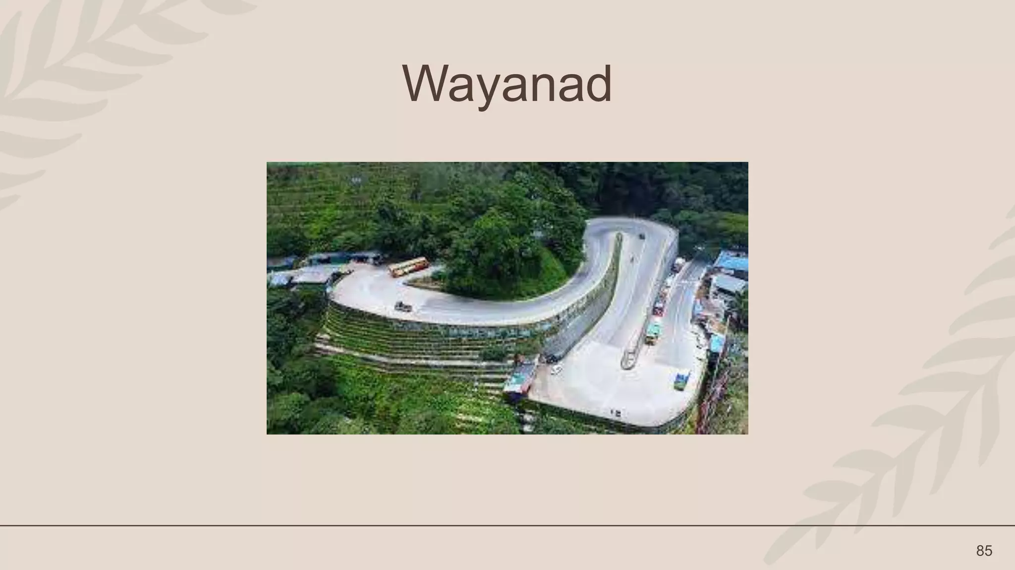 85
Wayanad
 