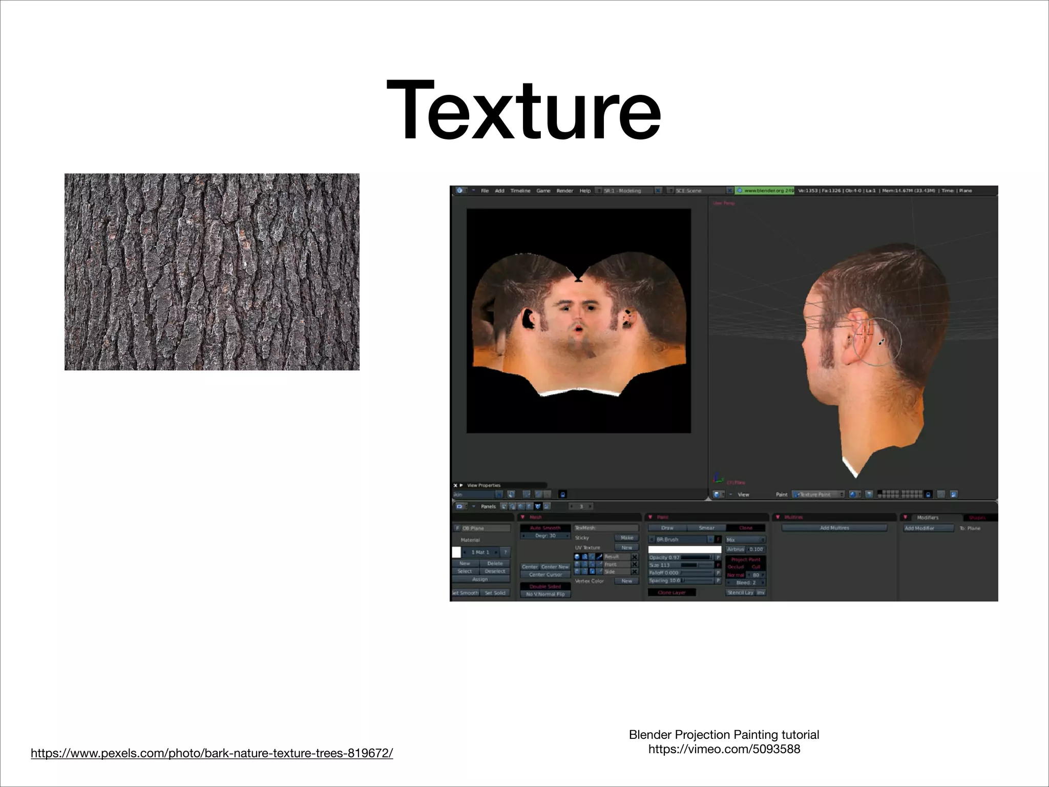 Texture
https://www.pexels.com/photo/bark-nature-texture-trees-819672/
Blender Projection Painting tutorial

https://vimeo.com/5093588
 
