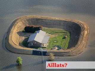 Societat del Coneixement