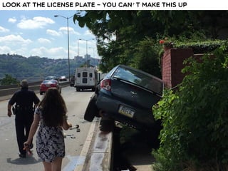 Look at the license plate – you can’t make this up
 