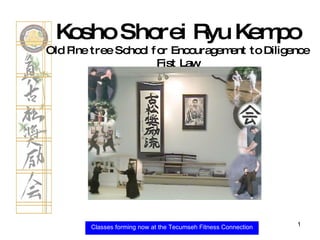 Classes forming now at the Tecumseh Fitness Connection Kosho Shorei Ryu Kempo Old Pine tree School for Encouragement to Diligence Fist Law 