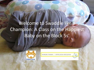 Welcome to Swaddle like a
Champion: A Class on the Happiest
Baby on the Block 5s'

 