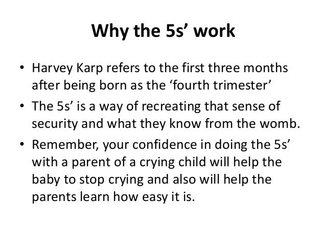 harvey karp's 5 s method