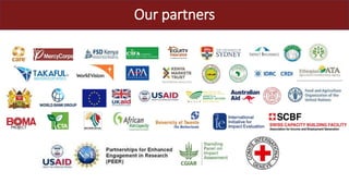 IBLI―Creating impacts through Open Access technology