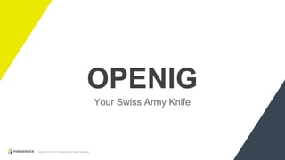 Copyright © 2015 ForgeRock, all rights reserved.
OPENIG
Your Swiss Army Knife
 