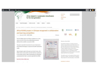 Doing research in the ‘open’: ILRI’s Knowledge management approach