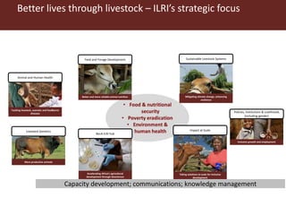 Doing research in the ‘open’: ILRI’s Knowledge management approach