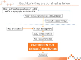 Graphically they are obtained as follow:
Idea + methodology development on GIS
and/or ecogeography applied on PGR
Theoretical and practical scientific validation
Publication (peer review)
Data preparation R script development
Java / tomcat interface
Tool + documentation
Assistance
CAPFITOGEN tool
release / distribution
 