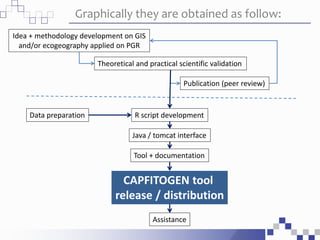 Graphically they are obtained as follow:
Idea + methodology development on GIS
and/or ecogeography applied on PGR
Theoretical and practical scientific validation
Publication (peer review)
Data preparation R script development
Java / tomcat interface
Tool + documentation
Assistance
CAPFITOGEN tool
release / distribution
 