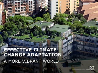 EFFECTIVE CLIMATE CHANGE ADAPTATION 
A MORE VIBRANT WORLD  