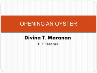 Divina T. Maranan
TLE Teacher
OPENING AN OYSTER
 
