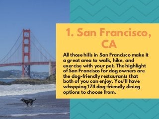 Adam Croman | The Most Dog-Friendly Cities to Visit