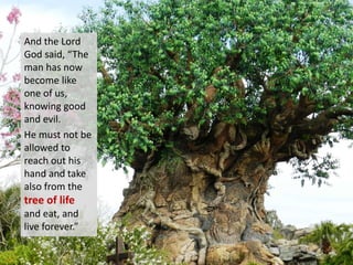 And the Lord
God said, “The
man has now
become like
one of us,
knowing good
and evil.
He must not be
allowed to
reach out his
hand and take
also from the
tree of life
and eat, and
live forever.”
 