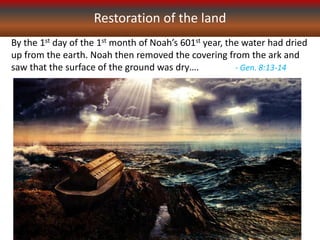 Restoration of the land
By the 1st day of the 1st month of Noah’s 601st year, the water had dried
up from the earth. Noah then removed the covering from the ark and
saw that the surface of the ground was dry…. - Gen. 8:13-14
 