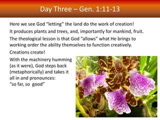 Here we see God “letting” the land do the work of creation!
It produces plants and trees, and, importantly for mankind, fruit.
The theological lesson is that God “allows” what He brings to
working order the ability themselves to function creatively.
Creations create!
With the machinery humming
(as it were), God steps back
(metaphorically) and takes it
all in and pronounces:
“so far, so good”
Day Three – Gen. 1:11-13
 