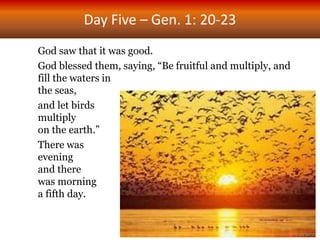 Day Five – Gen. 1: 20-23
God saw that it was good.
God blessed them, saying, “Be fruitful and multiply, and
fill the waters in
the seas,
and let birds
multiply
on the earth.”
There was
evening
and there
was morning
a fifth day.
 