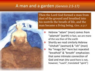 A man and a garden (Genesis 2:5-17)
Then the Lord God formed a man from
dust of the ground and breathed into
his nostrils the breath of life, and the
man became a living being. Gen. 2:5-7
 Hebrew “adam” (man) comes from
“adamah” (earth) in fact, we are more
of the sea than of the earth
 Shortly we read similarly Hebrew
“ishshah” (woman) & “ish” (man)
 No “imago Dei” here but repeated
“breathed” & “breath” emphasizes
that same intimate connection of
God and man (the word here is not,
however, “ruach”, translated “spirit”)
 
