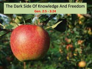 The Dark Side Of Knowledge And Freedom
Gen. 2:5 - 3:24
 