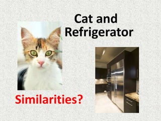 Cat and RefrigeratorSimilarities?