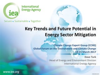 © OECD/IEA 2016© OECD/IEA 2016
Key Trends and Future Potential in
Energy Sector Mitigation
Climate Change Expert Group (CCXG)
Global Forum on the Environment and Climate Change
14-15 March 2017
Dave Turk
Head of Energy and Environment Division
International Energy Agency
 