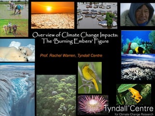 Prof. Rachel Warren, Tyndall Centre
Over view of Climate Change Impacts:
The ‘Burning Embers’ Figure
 