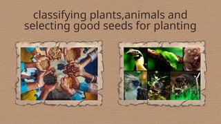 classifying plants,animals and
selecting good seeds for planting
 