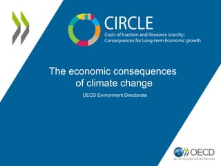 The economic consequences
of climate change
OECD Environment Directorate
 