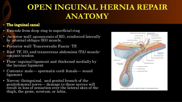 Open Inguinal Hernia Repair Operative Surgery Open Inguinal Hernia Repair Operative Surgery