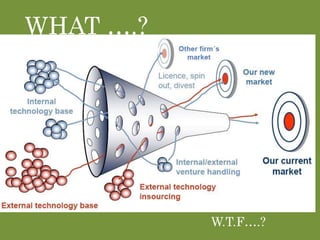 Q
WHAT ….?
W.T.F….?
 