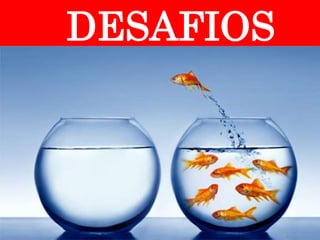 DESAFIOS
 