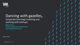 1
Dancing with gazelles,
Corporate learnings investing and
working with startups
Miguel Arias
Director Global Emprendimiento
marias@Telefonica.com
January 2020
 