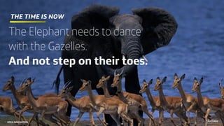 the time is now
The Elephant needs to dance
with the Gazelles.
And not step on their toes.
5
OPEN INNOVATION
 