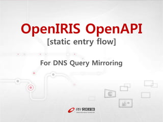 OpenIRIS OpenAPI
[static entry flow]
For DNS Query Mirroring
 