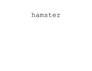 hamster
 