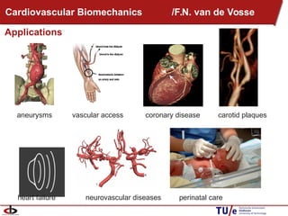 aneurysms vascular access coronary disease carotid plaques
heart failure neurovascular diseases perinatal care
Applications
Cardiovascular Biomechanics /F.N. van de Vosse
 