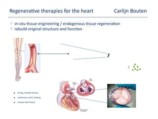 Regenerative therapies for the heart Carlijn Bouten
 in-situ tissue engineering / endogenous tissue regeneration
 rebuild original structure and function
• strong, durable tissues
• continuous cyclic loading
• contact with blood
 