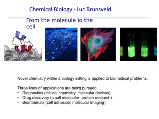 Chemical Biology - Luc Brunsveld
From the molecule to the
cell
Novel chemistry within a biology setting is applied to biomedical problems.
Three lines of applications are being pursued
- Diagnostics (clinical chemistry, molecular devices)
- Drug discovery (small molecules, protein research)
- Biomaterials (cell adhesion, molecular imaging)
 