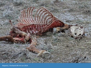 #openls | Portland OR 4-6 Jun 2014
OPEN EDUCATION
leadership summit
2014
 