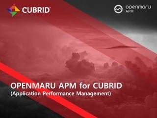 OPENMARU APM for CUBRID
(Application Performance Management)
 
