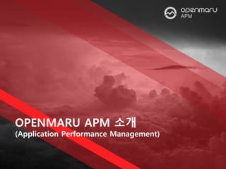 OPENMARU APM 소개
(Application Performance Management)
 