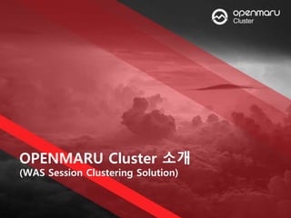 OPENMARU Cluster 소개
(WAS Session Clustering Solution)
 