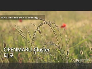 오픈소스 WAS를 위한 클러스터 솔루션 - OPENMARU Cluster