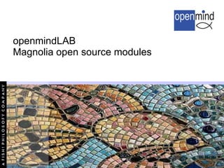 openmindLAB
Magnolia open source modules
 
