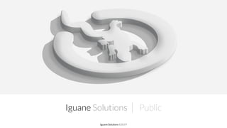 Iguane Solutions | Public
Iguane Solutions ©2019
 