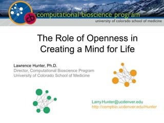 The Role of Openness in Creating a Mind for Life 