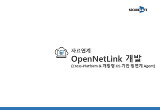 자료연계
OpenNetLink 개발
(Cross-Platform & 개방형 OS 기반 망연계 Agent)
 