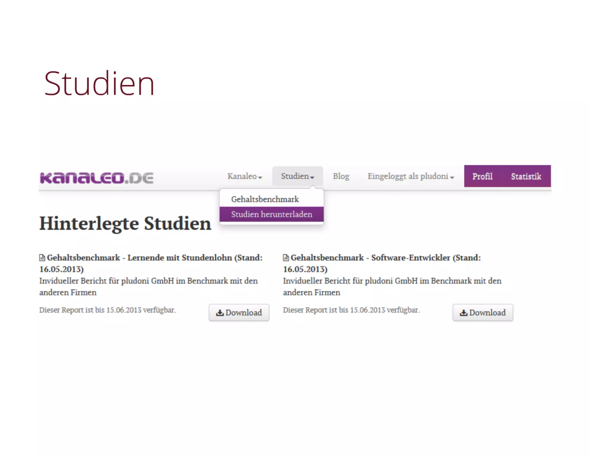 29. OpenNetwork Event, kanaleo.de